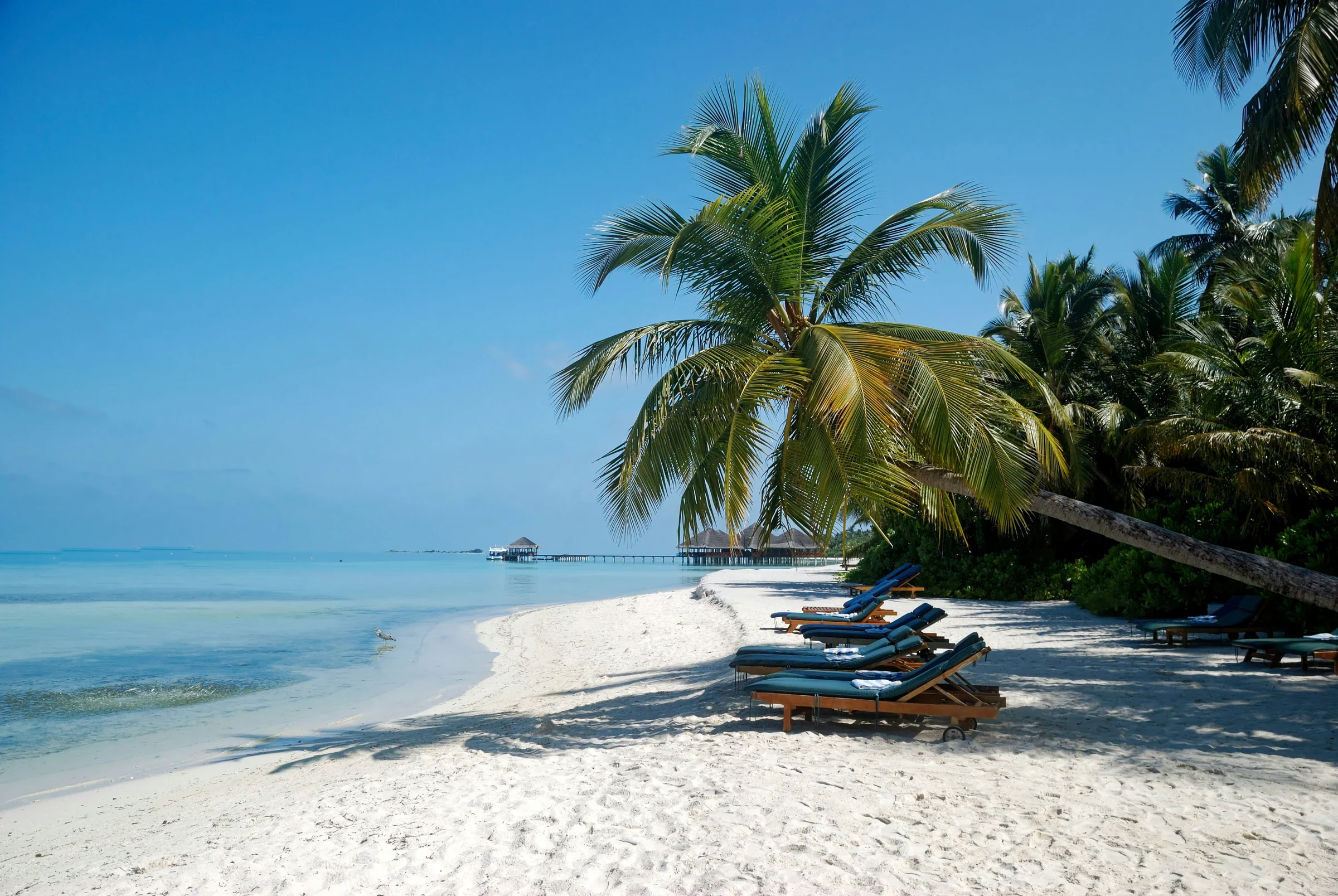 Zanzibar beach Tanzania