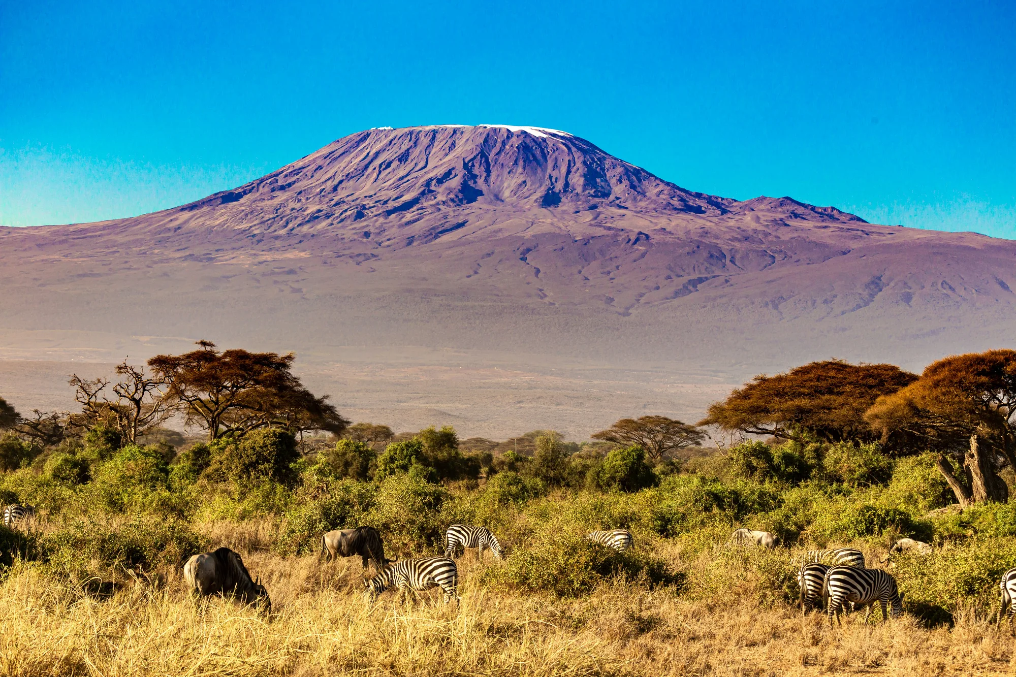 Mount Kilimanjaro Tanzania