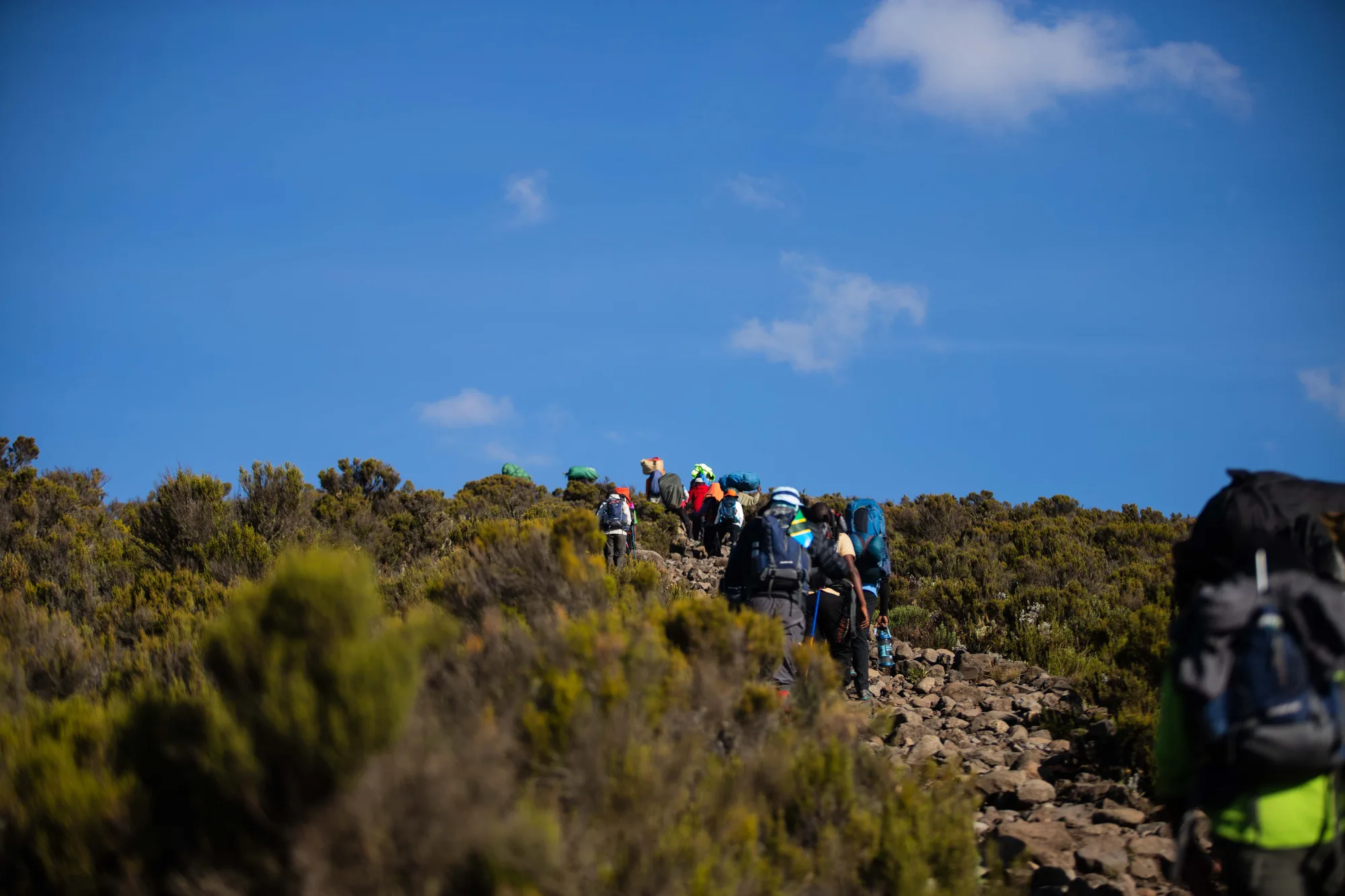 Hikers trekking Mount Kilimanjaro