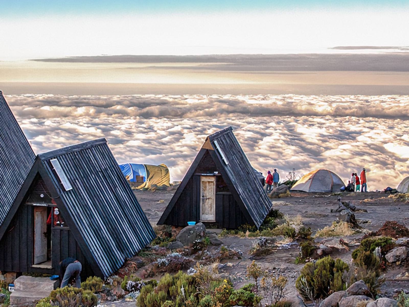 Marangu Route landscape on Mount Kilimanjaro