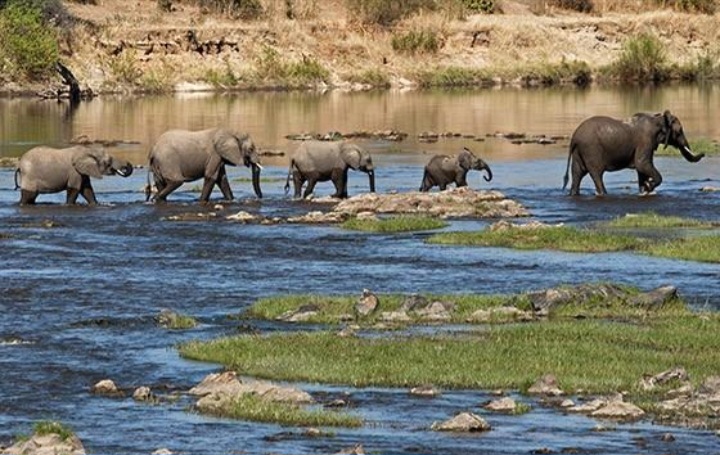 Great Ruaha River in Ruaha National Park