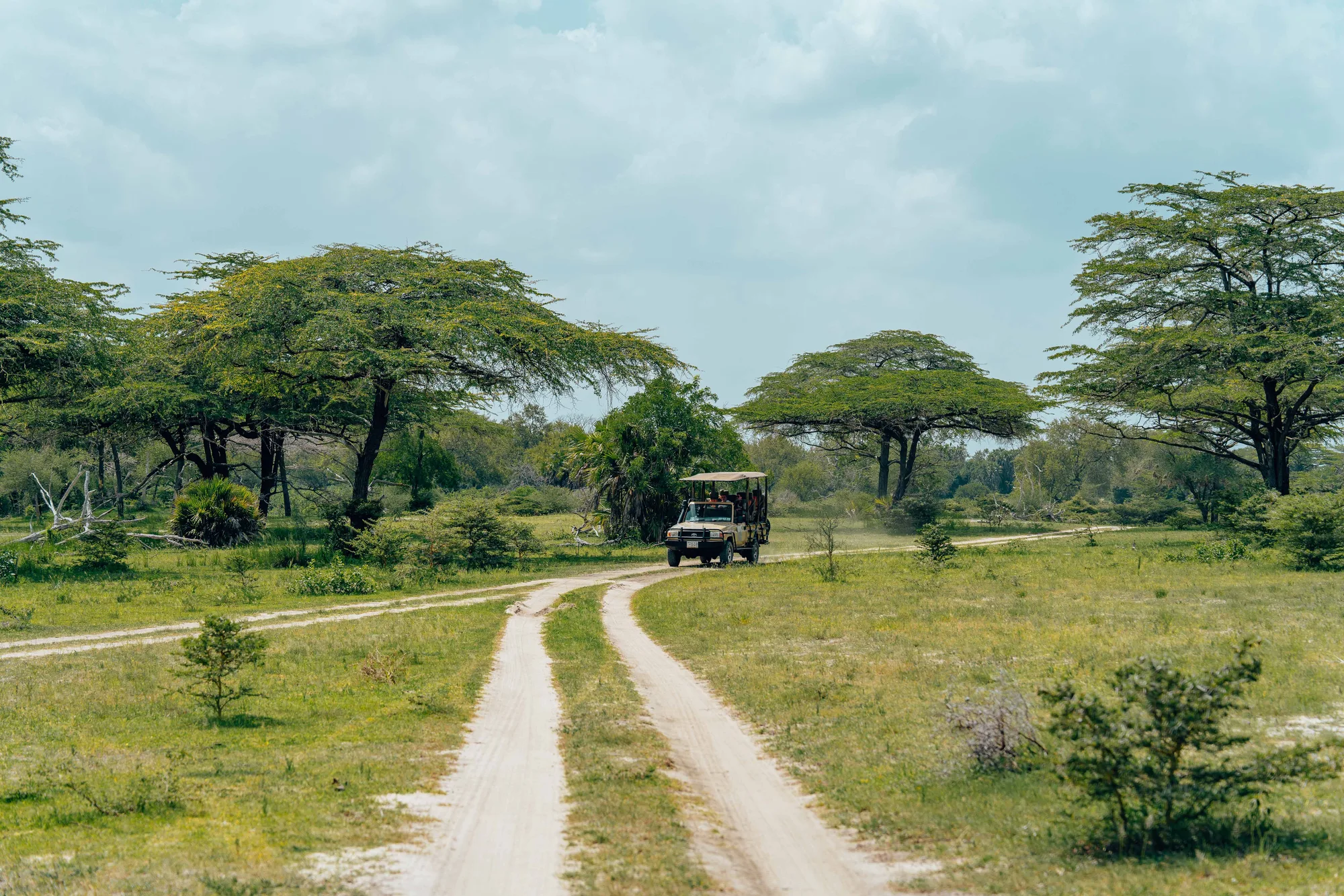 Safari experience in Tanzania