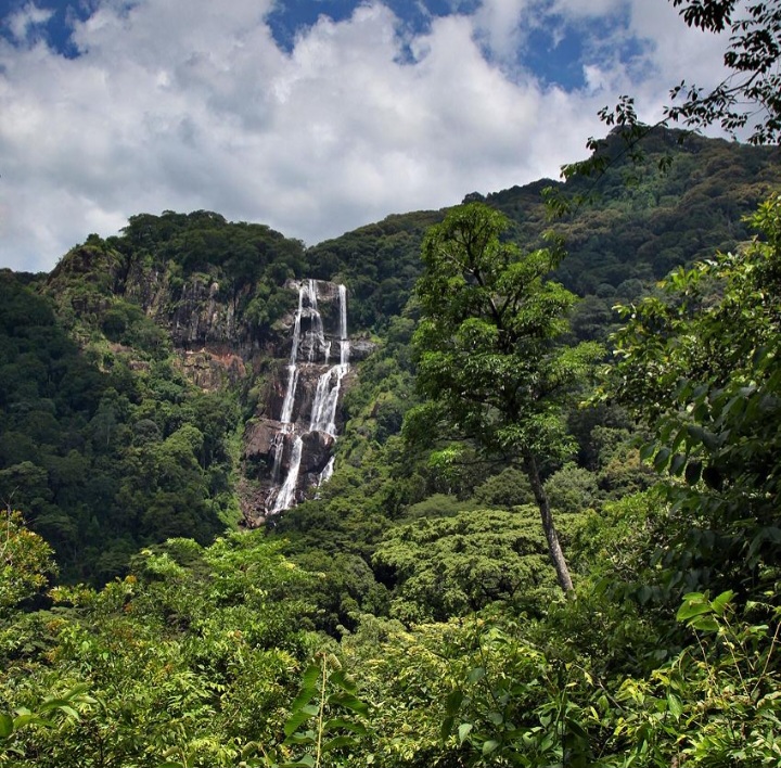 Sanje Waterfall surrounded by dense green forest